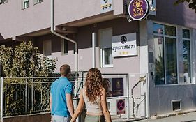 As Apartmani Pirot